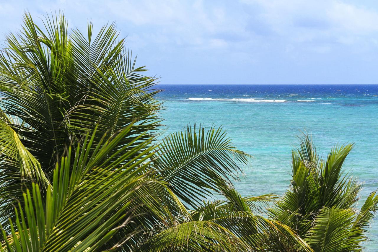Cielo Maya Beach تولوم المظهر الخارجي الصورة