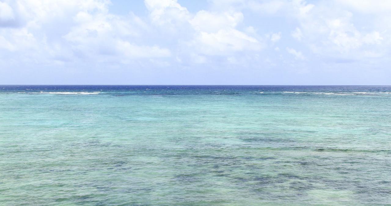Cielo Maya Beach تولوم المظهر الخارجي الصورة